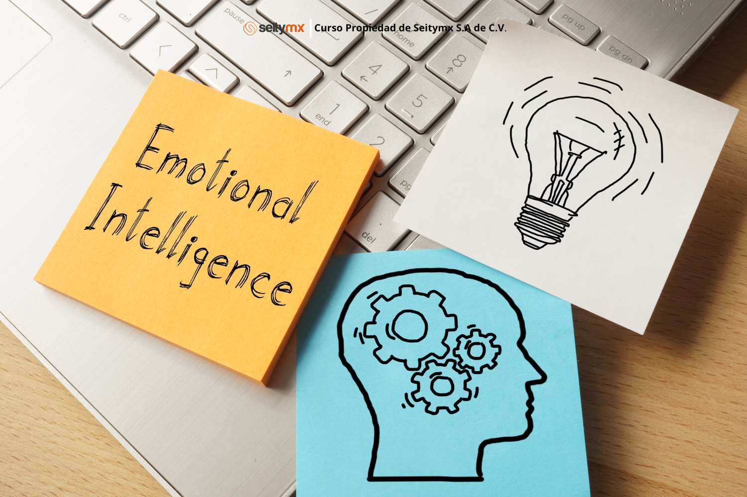 Copia de Sin título (500 x 800 px) (800 x 1600 px) (200 x 200 px) (10)